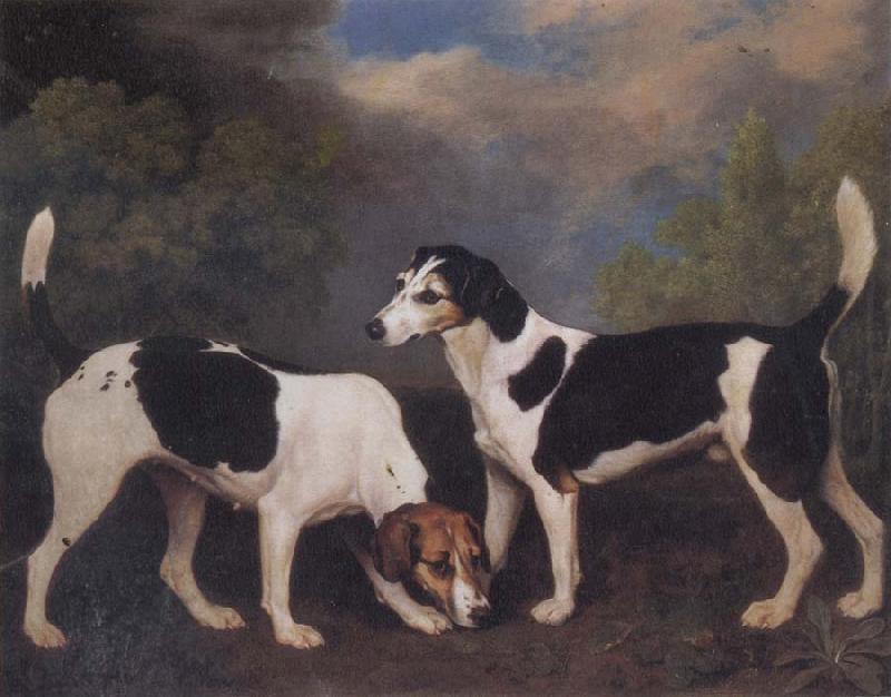 George Stubbs A Couple of Foxhounds France oil painting art